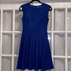 Stretchy Royal Blue Muse Dress
